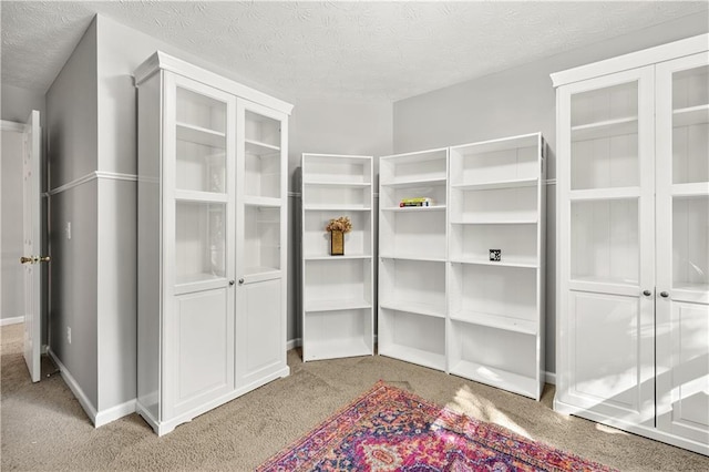 walk in closet with light carpet