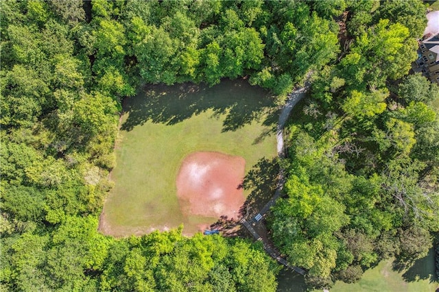 bird's eye view