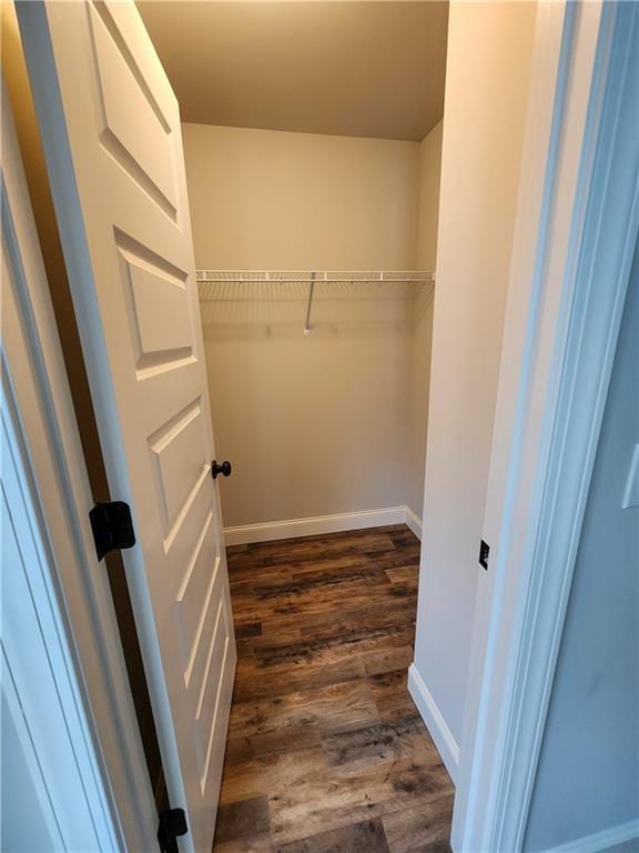 walk in closet featuring dark hardwood / wood-style floors