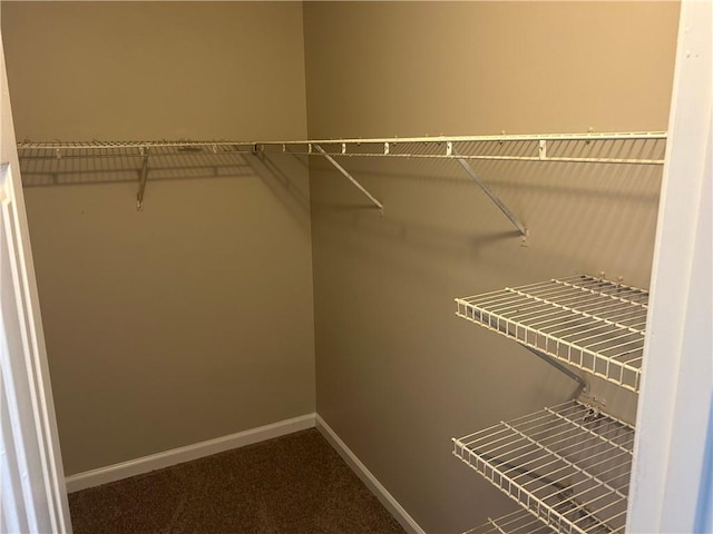 walk in closet with dark colored carpet