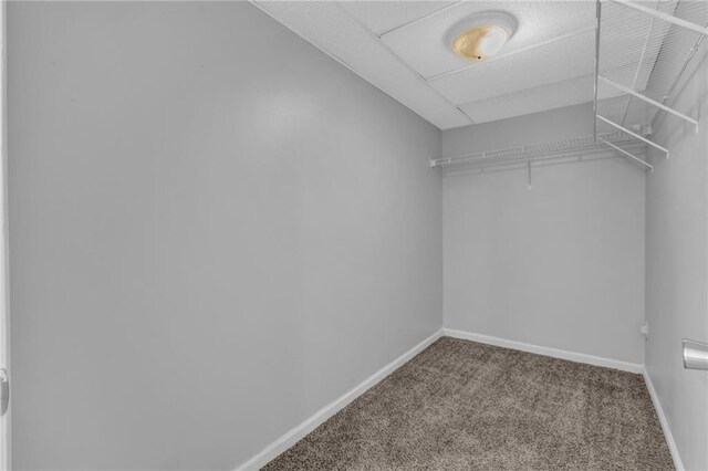 2551 Tolliver Dr, Ellenwood, GA 30294 - walk in closet with carpet floors