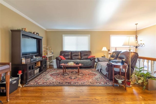 living room with hardwood / wood-style floors, plenty of natural light, a chandelier, and ornamental molding