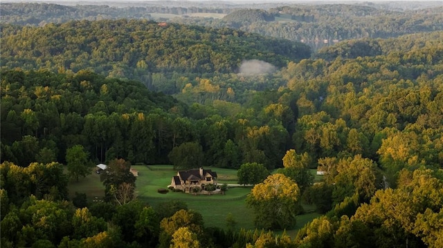 aerial view