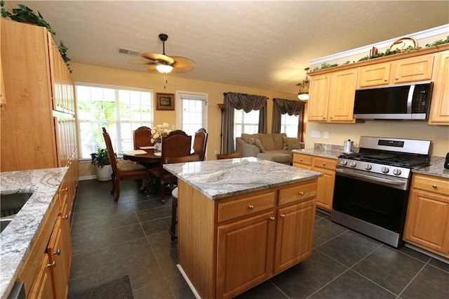 kitchen with ceiling fan, appliances with stainless steel finishes, a healthy amount of sunlight, and light stone countertops