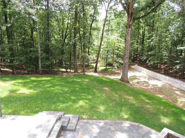 9050 Pine Tree Cir, Gainesville, GA 30506 - view of yard