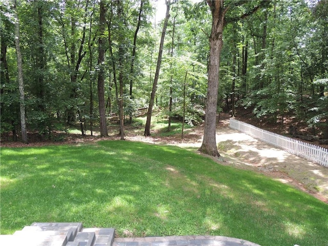 9050 Pine Tree Cir, Gainesville, GA 30506 - view of yard