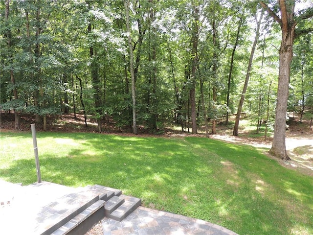 9050 Pine Tree Cir, Gainesville, GA 30506 - view of grassy yard