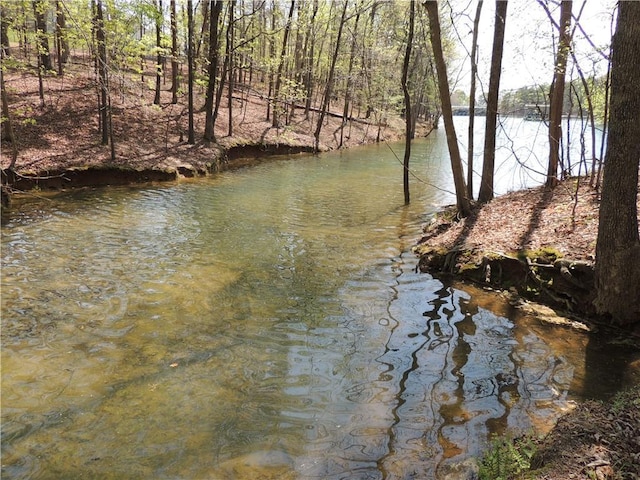 9050 Pine Tree Cir, Gainesville, GA 30506 - water view