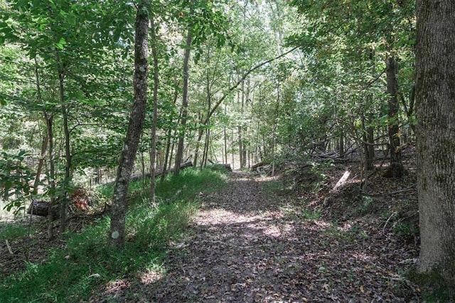 9050 Pine Tree Cir, Gainesville, GA 30506 - view of woods