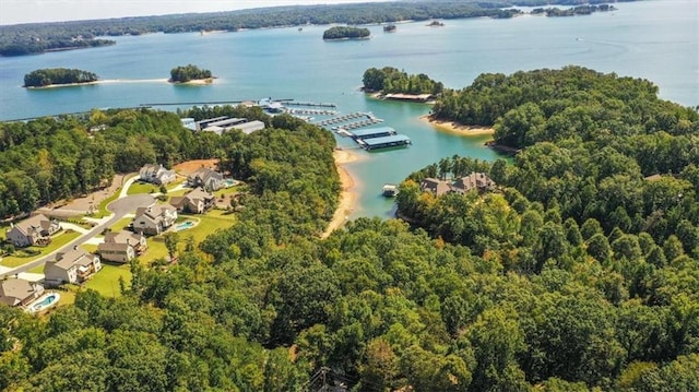 9050 Pine Tree Cir, Gainesville, GA 30506 - drone / aerial view of a nearby body of water and a forest