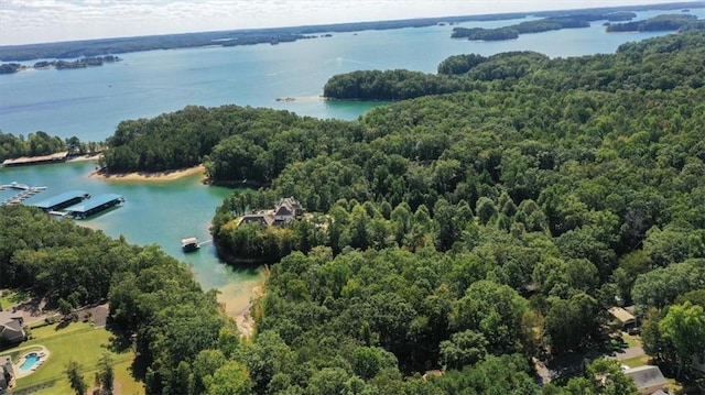 9050 Pine Tree Cir, Gainesville, GA 30506 - bird's eye view of a heavily wooded area and a large body of water
