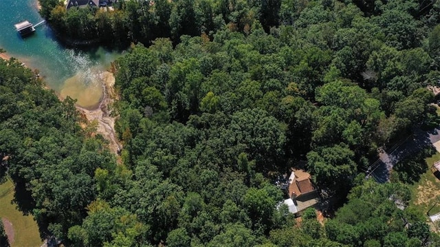 9050 Pine Tree Cir, Gainesville, GA 30506 - aerial view of property's location with a heavily wooded area and a nearby body of water