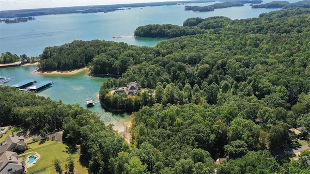 9050 Pine Tree Cir, Gainesville, GA 30506 - bird's eye view of a heavily wooded area and a nearby body of water