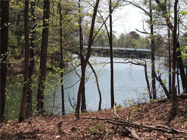 9050 Pine Tree Cir, Gainesville, GA 30506 - water view