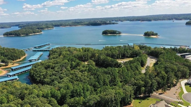 9050 Pine Tree Cir, Gainesville, GA 30506 - aerial view of a nearby body of water and a forest