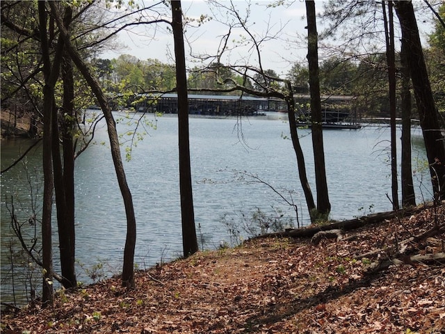 9050 Pine Tree Cir, Gainesville, GA 30506 - water view