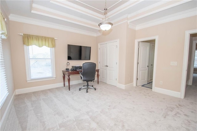 office space featuring crown molding, a tray ceiling, and carpet floors