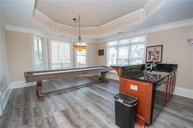 rec room featuring a sink, a tray ceiling, light wood-style flooring, and ornamental molding