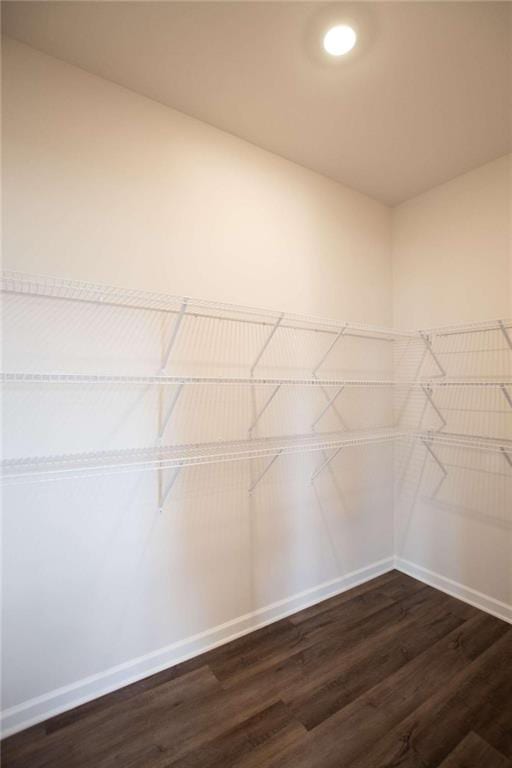 walk in closet with dark hardwood / wood-style floors