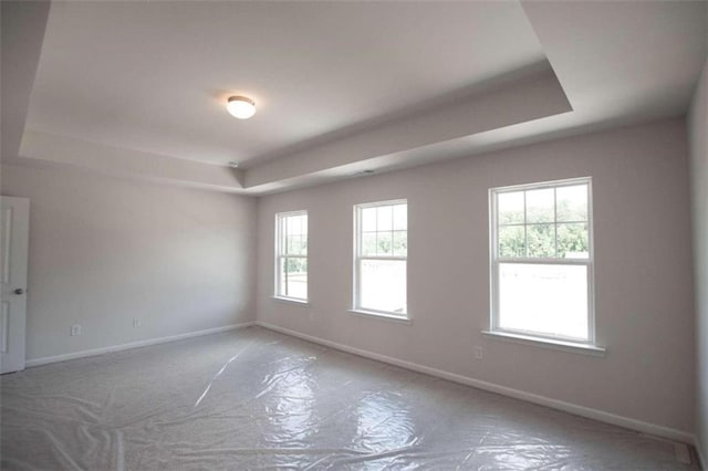 unfurnished room featuring a raised ceiling