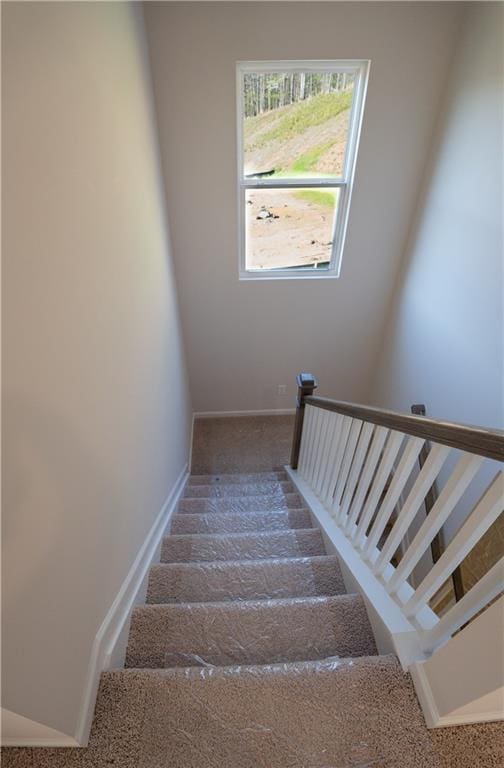 530 River Run Dr, Dallas, GA 30132 - stairs with baseboards and carpet floors