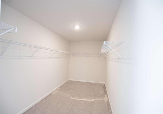 walk in closet featuring light carpet