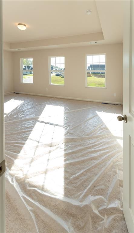 530 River Run Dr, Dallas, GA 30132 - spare room with plenty of natural light, a raised ceiling, and baseboards