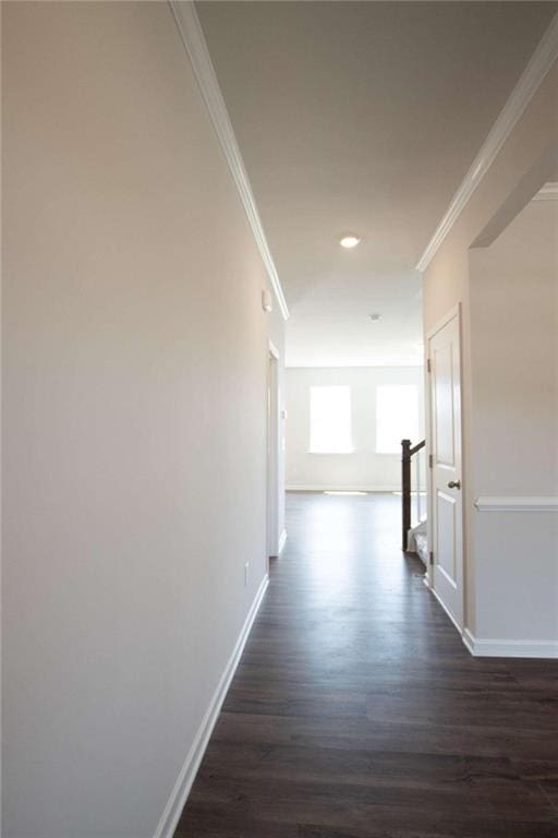 corridor featuring crown molding and dark hardwood / wood-style floors