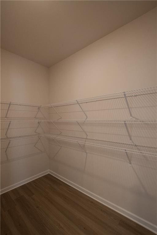 530 River Run Dr, Dallas, GA 30132 - walk in closet featuring dark wood-style flooring