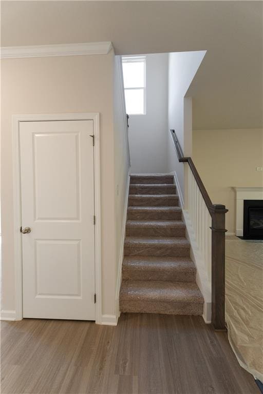 530 River Run Dr, Dallas, GA 30132 - stairway featuring wood finished floors, ornamental molding, baseboards, and a fireplace with flush hearth