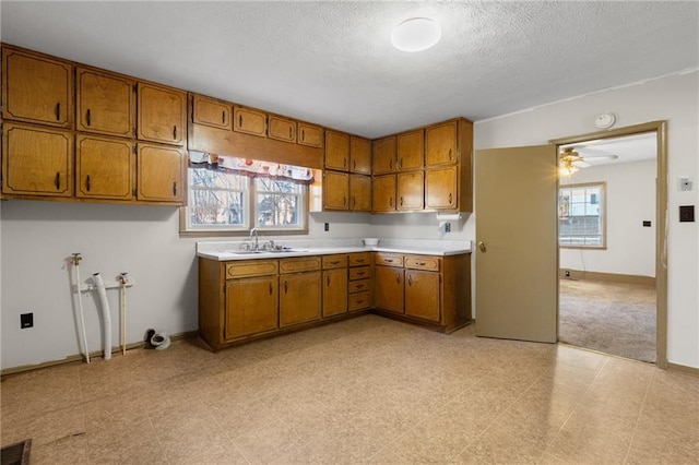 kitchen with sink, a textured ceiling, and ceiling fan