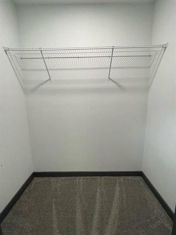 spacious closet with carpet flooring