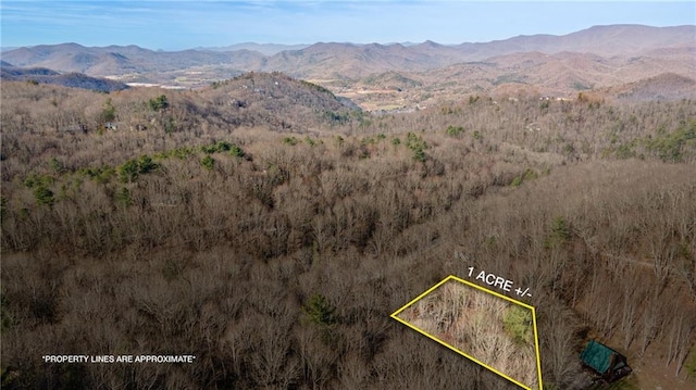 property view of mountains