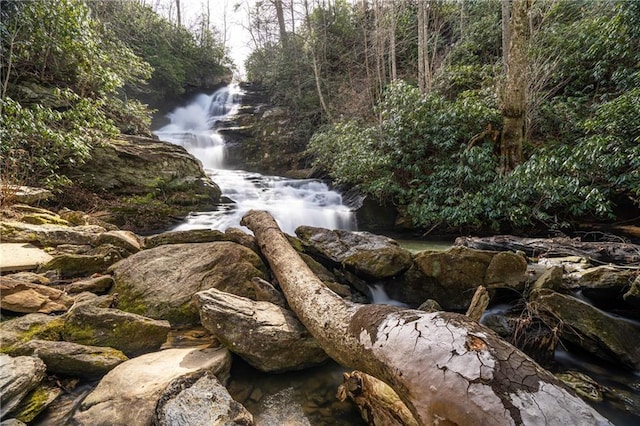 view of nature featuring a wooded view