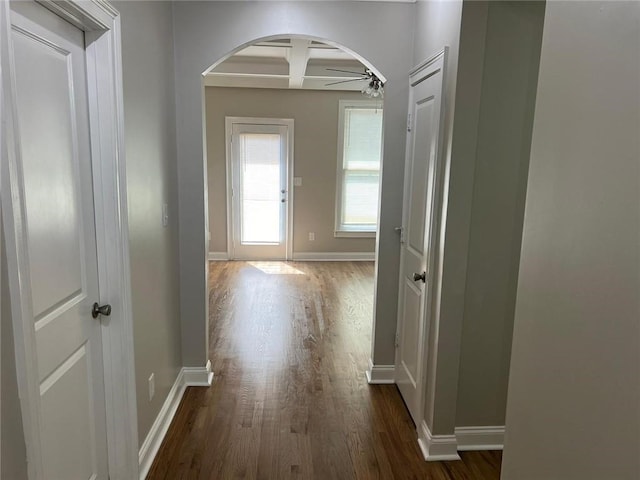 corridor featuring beamed ceiling, dark hardwood / wood-style flooring, and coffered ceiling