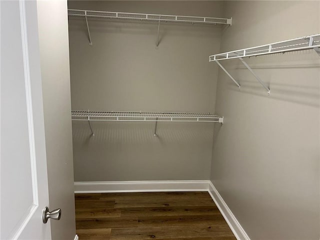 walk in closet featuring dark hardwood / wood-style flooring