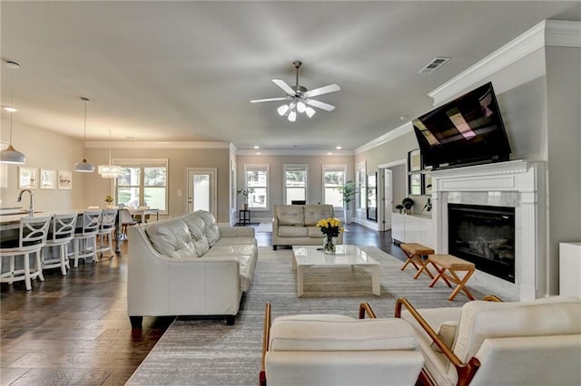 3925 Sierra Knolls Ct, Cumming, GA 30040 - living room with dark wood-type flooring, ornamental molding, ceiling fan, and a premium fireplace