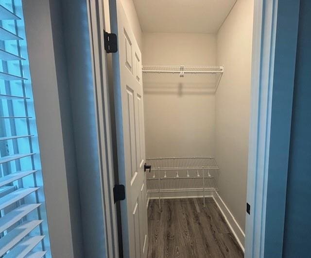 spare room with a tray ceiling, dark hardwood / wood-style floors, and ceiling fan