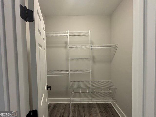 walk in closet featuring dark wood-type flooring