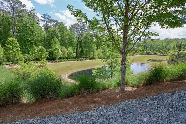 view of property's community featuring a water view