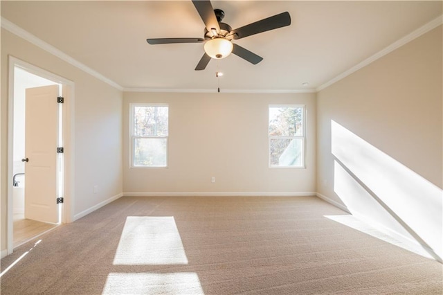 spare room with crown molding, a healthy amount of sunlight, and light carpet