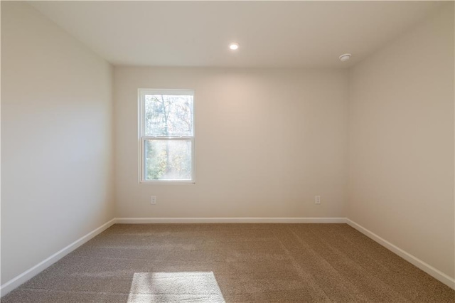 unfurnished room featuring carpet