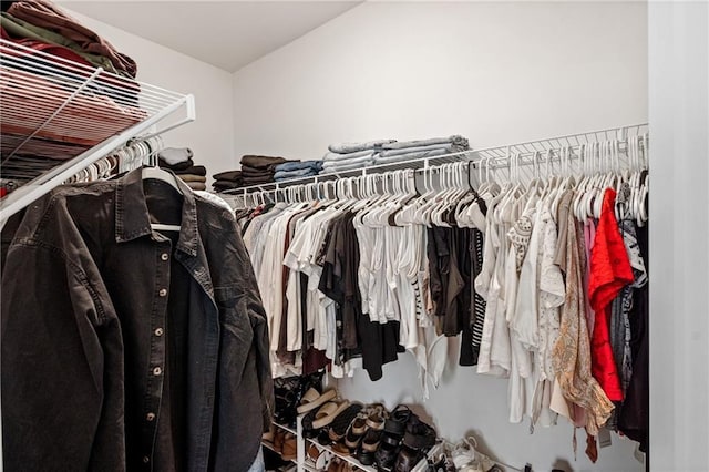 view of spacious closet