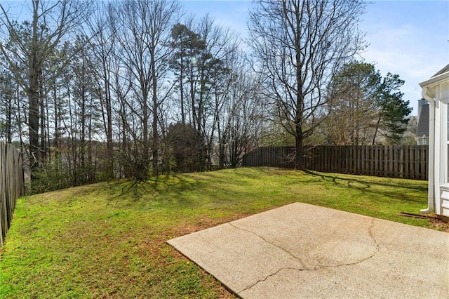 view of yard featuring a patio and a fenced backyard