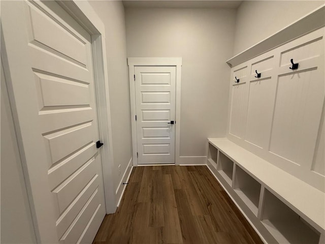 mudroom with dark wood-type flooring