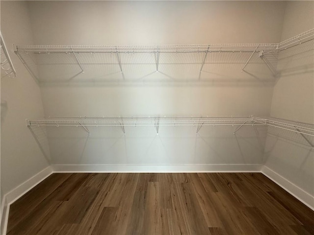 walk in closet with dark hardwood / wood-style floors