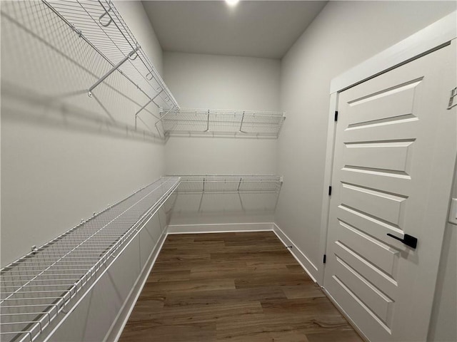 walk in closet with dark hardwood / wood-style floors