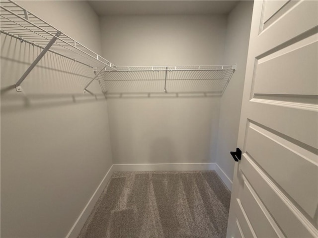 spacious closet featuring carpet flooring