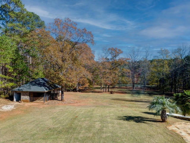 595 S Mount Carmel Rd, Mcdonough, GA 30253 - view of green lawn