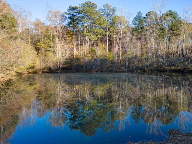 595 S Mount Carmel Rd, Mcdonough, GA 30253 - water view with a forest